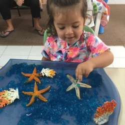 Laila exploring our starfish sensory tray.