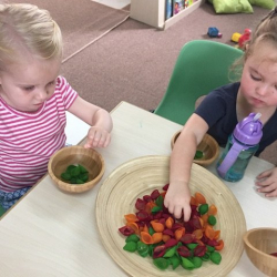 Matilda and Penelope working on their sorting skills.