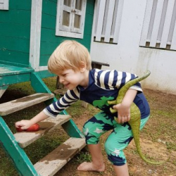 Iggy and the dinosaur washing the playhouse!