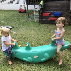 Florence and Ella having fun together on the see-saw.