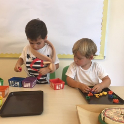Enzo and Max worked together to sort animals by color.