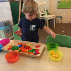 Max is sorting great by color!