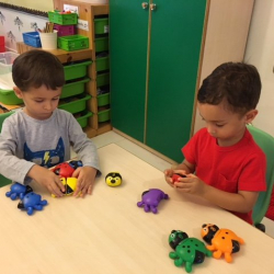 Felix H. and Lorenzo worked hard to connect their bugs together.