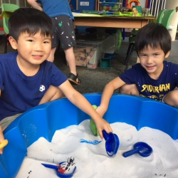 Samuel and Noah had fun digging for insects in the sand box.