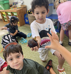 Children touching and feeling a mangosteen.