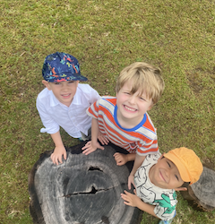 We are looking for toads!