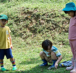 Digging for worms in the ground?