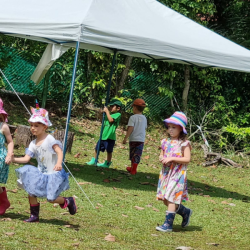 Free play in the garden.
