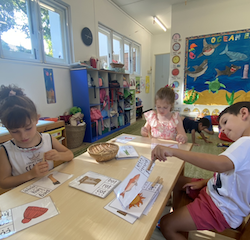 Working on CVC words