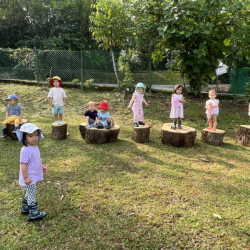We explored our new tree stumps in the garden today!