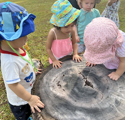 Victoire, Nila and George looking for the frog in the tree log!.png