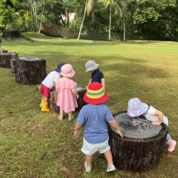 We went back to the log to see if the frog was still there!