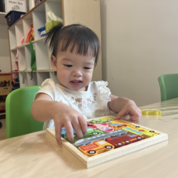 Welcome Maya! Maya enjoying playing with our new transport puzzle!