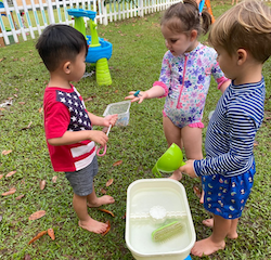 Catching little frogs.
