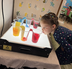 Vivi observing "walking water" experiment