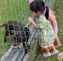 Saying hello to our neighbour’s cute puppy!