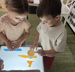 Cassie and Aidan observed that light passes through the paper cup