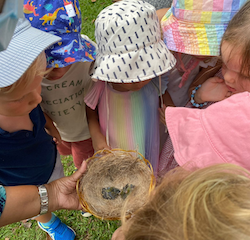 Discovery on our nature walk - baby birds!