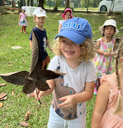 Welcome to Dragonflies Phoenix!