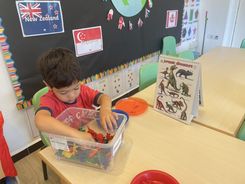 Isaac sorting dinosaurs by colour.