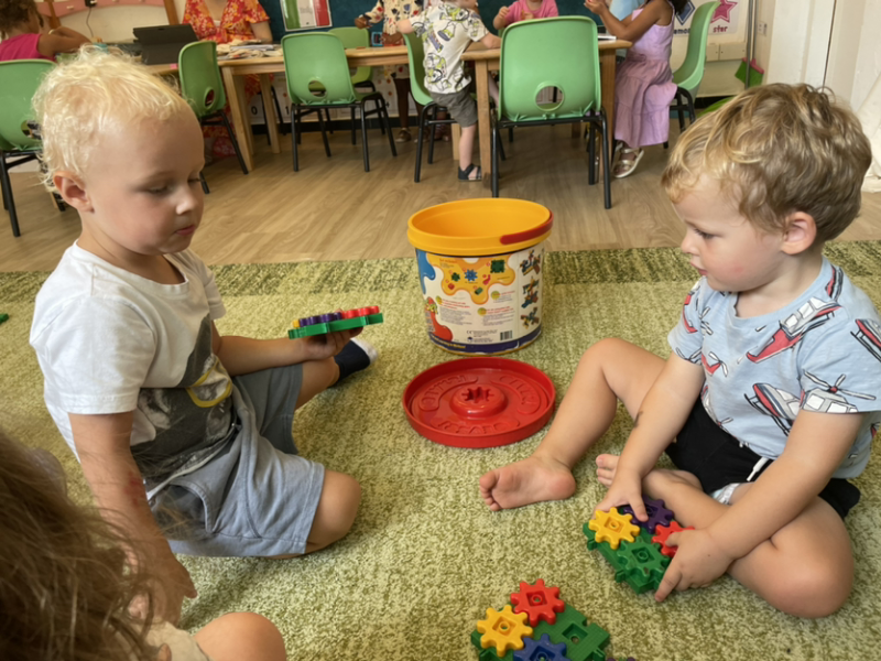 Monty and Dylan playing together.