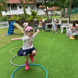 Lily jumping through the hoops.