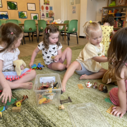 Lulu, Clemmie, Mia and Alex working together to set up the farm animals.