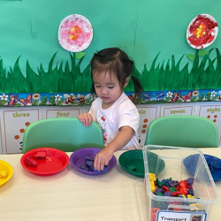 Alli sorting by colour.