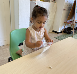 Anaya placing her beans in the bag for our bean experiment.