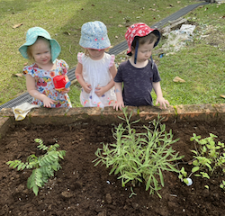 Isabelle, Isla and George watering the garden.