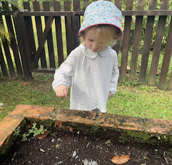 Isla putting flower seeds in the garden.