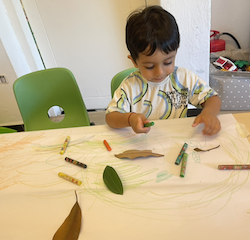 Kathavya doing a leaf drawing.