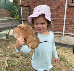 Norielle found a big leaf.