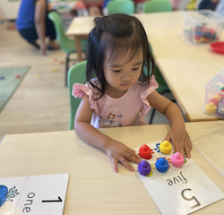 Allie is practising number recognition and 1-1 correspondence.