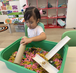 Itsy Bitsy spider sensory bin.