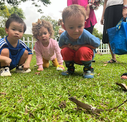 Observing the lizard we found in the garden today!