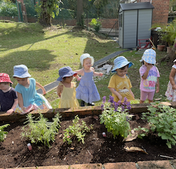 Our fabulous herb and flower patch.