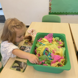 Poppy was matching the zoo animals to the animal cards.