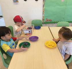 Sorting by colour.