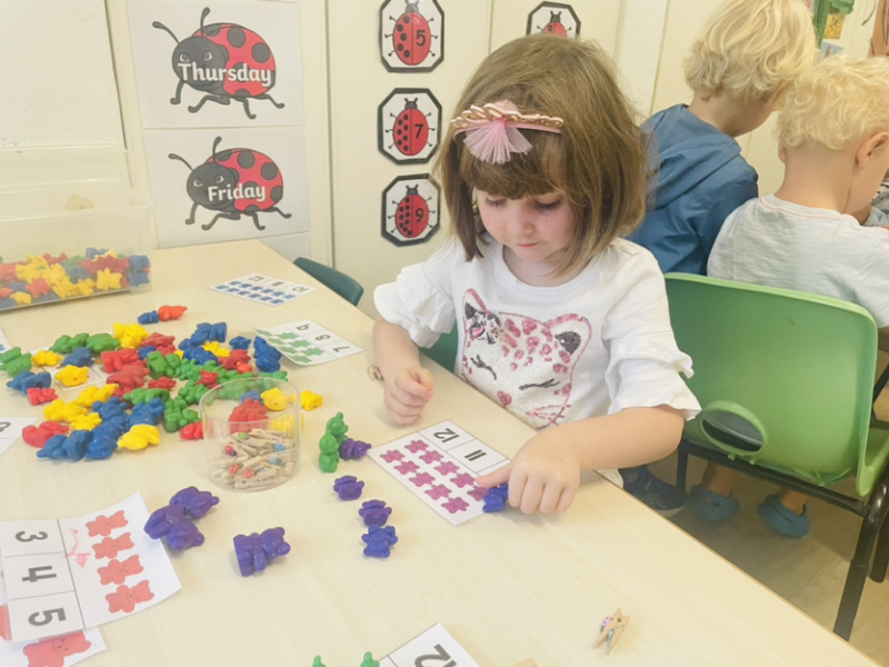 Counting and identifying activity with Clemmie.