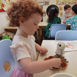 Tilly made a 'smart cookie' for her owl.