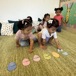 We matched eggs by pattern!