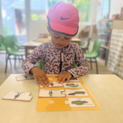 Amara completing her matching activity..