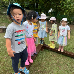 Dragonflies having fun while practicing their direction skills.