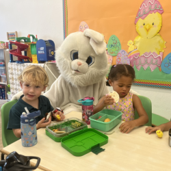 Ester bunny visiting dragonflies during snack time.
