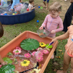 Frogs, flowers, and more!