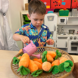 Luca is watering the carrots!
