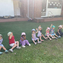Planting cherry tomatoes in the vegepod.