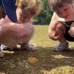 Rosie and Alexander found an anthill!