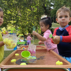 The Fireflies are fishing for rubber duckies!